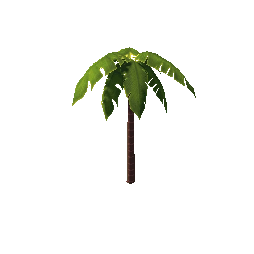 Palm C Lod